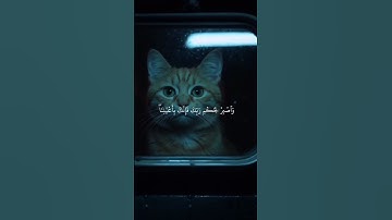 وَاصْبِرْ لِحُكْمِ رَبِّكَ فَإِنَّكَ بِأَعْيُنِنَا ) القارئ احمد العجمي سورة الطور #القران