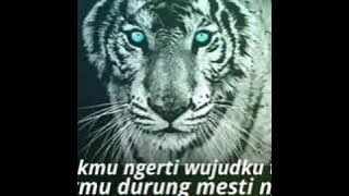 Kumpulan kata kata macan putih👹 Story wa kidung wahyu,,,,,