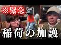 【緊急】お稲荷様のご加護で、世界線が変わりました。
