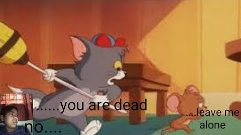 Mousebot.Lab-1 The. experiment begins.