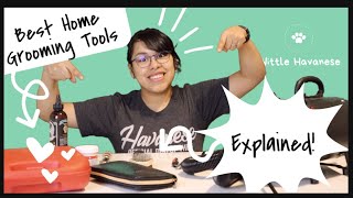 Grooming Tools We Use And What They Are For | Wittle Havanese