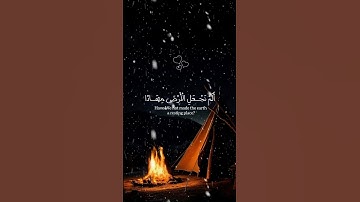 #ارح_قلبك #الرحمن #تلاوة_خاشعة #القرآن_الكريم #اكسبلور #لايك #راحة_نفسية #shortvideo #share