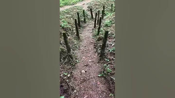 Walking The WW1 Trenches Of Verdon, France