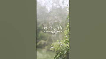 سورة : لقمان - Luqmān  - الجزء : ( 21 )  -  الصفحة: ( 411 ) #قرآن #قرآن_كريم #قران_كريم