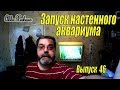 Запуск настенного аквариума 10 литров (Аква Хижина, выпуск 46)