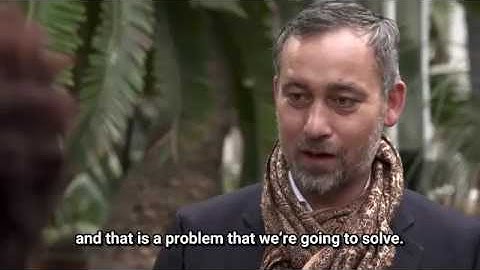 CocoPallet in Hortus Botanicus Amsterdam   Subtitled