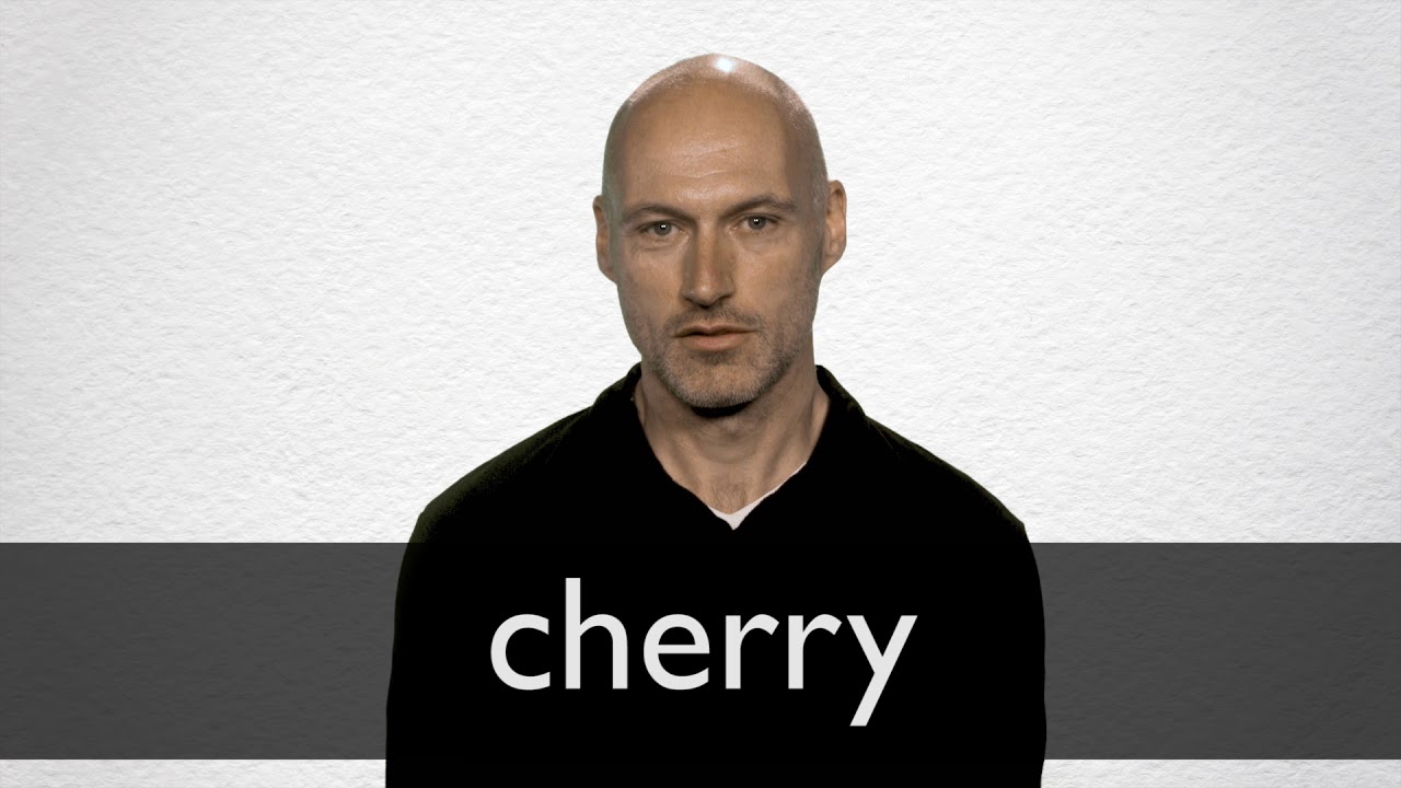 Hindi Translation Of Cherry Collins English Hindi Dictionary Hindi Translation Of Cherry Collins English Hindi Dictionary