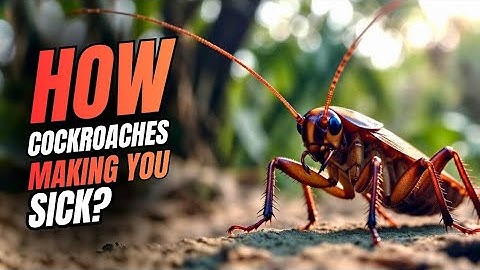How Cockroaches Making You Sick? #disease #viralvideo 