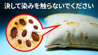 どんな状況でも自分を守るために知っておくべき事実