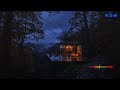 Peaceful Rain Forest Soundscape with Piano for Sleep Therapy