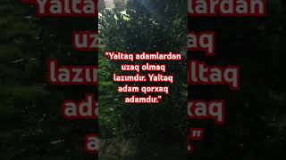 Yaltaq Adamlardan Uzaq Olmaq Lazımdır. Yaltaq Adam Qorxaq Adamdır.