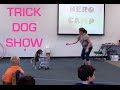 Cute Dog Trick Show at the Library