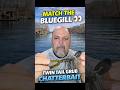 When Bass Are Eating Bluegill…