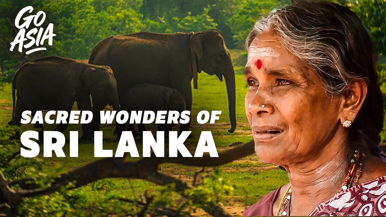 The Teardrop of India: What are the Sri Lanka’s Sacred and Natural Wonders? | Documentary - AMP