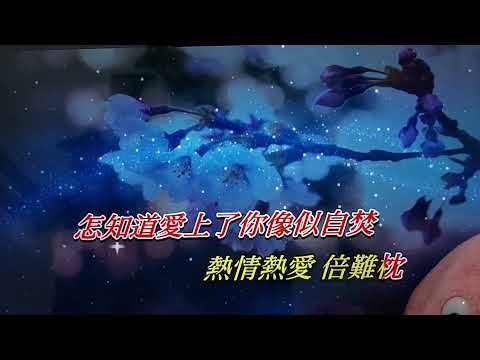 《痴心換情深》 (周慧敏)  小魷魚·音樂創作室12.11.2021