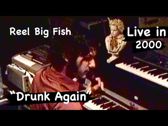 Reel Big Fish Australia Tour 2012 Highlights 