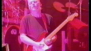 Video thumbnail of "Pink Floyd - Comfortably Numb (Live Pulse, uncut final solo)"