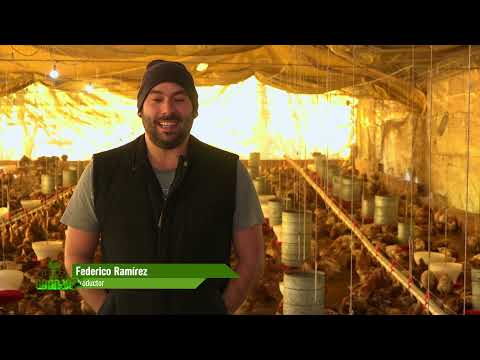 Vídeo: Com planifiqueu la disposició de la granja?
