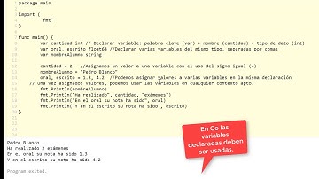 Lenguaje Go. Variables