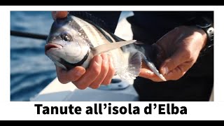 A tanute all&#39;Isola d&#39;Elba - Forme d&#39;Acqua - Italian Fishing TV