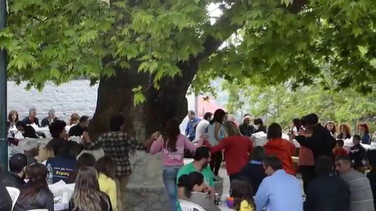 Ο ΚΥΚΛΩΤΙΚΟΣ ΠΡΩΤΟΜΑΓΙΑΤΙΚΟΣ  ΧΟΡΟΣ ΓΥΡΩ ΑΠΟ ΤΟΝ ΠΛΑΤΑΝΟ ΣΤΙΣ ΜΗΛΙΕΣ ΕΥΒΟΙΑΣ