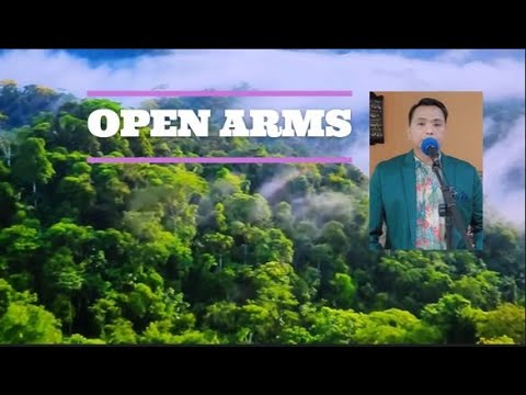OPEN ARMS [Acoustic | Lyrics] – Journey | Cover by LaliRiver@