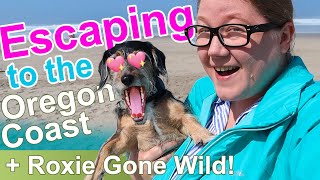 Escaping to the Oregon Coast || Lincoln City & Depoe Bay || Dogs First Beach || Autumn Beckman
