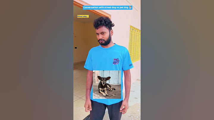 Conversation with street dog and pet dog 😂🐶 #comedy #shorts #viral #funny #trending #relatable