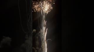 Ultimate Feast Firework 120S