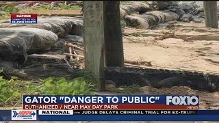 Alligator killed in Daphne