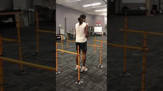 High hurdle hop (stick)