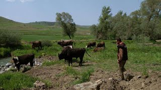 derdim yüreğimde eller ne bilsin - dertli yürekten söylenen türküler...!!! Resimi