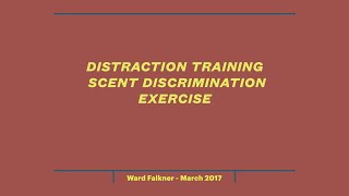 Distraction Training  - Scent Work