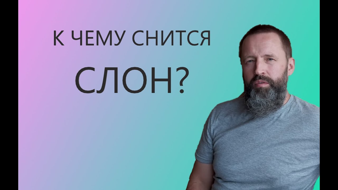 СЛОН. К чему снится Слон.