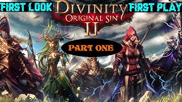 Divinity : Original Sin 2 (II) - Part 1 - First Play - Max Settings - Character Creation