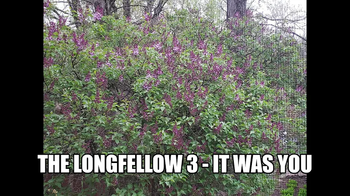 The Longfellow 3 - It Was You