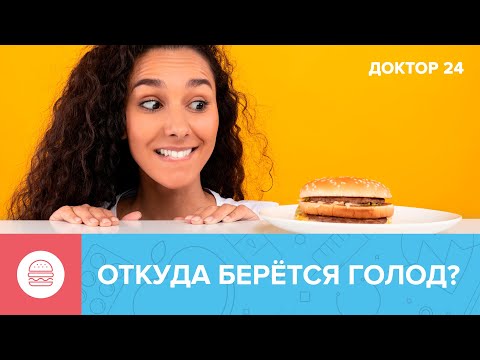 Из-за чего возникает ГОЛОД после ЕДЫ? | Доктор 24