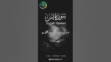 Surah Yaseen Ayah 12 | Powerful Reminder | سورة يس آية 12#SurahYaseen #QuranVerse #Ayah12 #Islamic