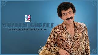 Müslüm Gürses - Sana Benziyor (Bak Yine Soldu Güneş) (1984) [Devirli]