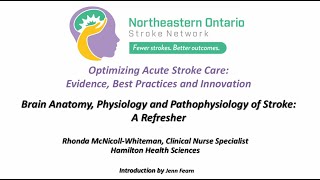 Brain Anatomy, Physiology and Pathophysiology of Stroke