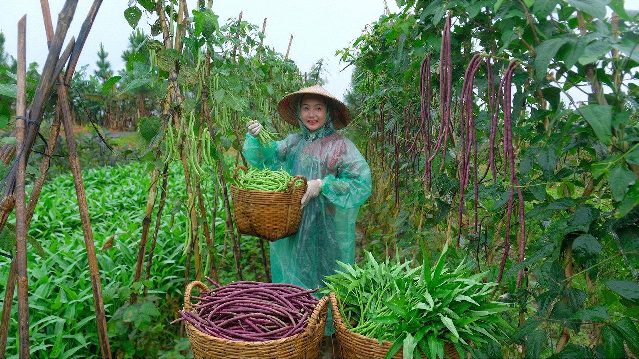 Harvest Water Spinach And Yardlong Beans Go To The Market To Sell - Cooking and Gardening