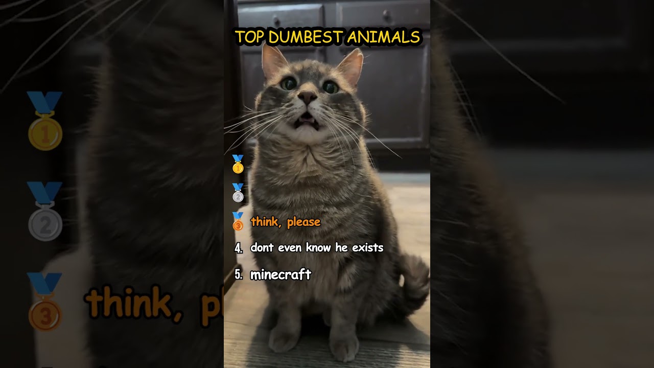 Top Dumbest Animals 💰💰