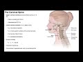 Cervical Lateral Flexion & Rotation BIOMECHANICS