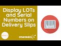 How to display LOTs and Serial numbers on delivery slips? | Odoo Apps | Synconics [ERP]