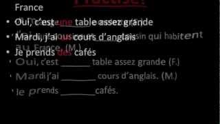 Information AP french 4 definite and indefinite articles News
