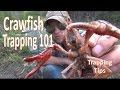 How to Catch Crawfish 101 w/ Gee's Trap/Extender