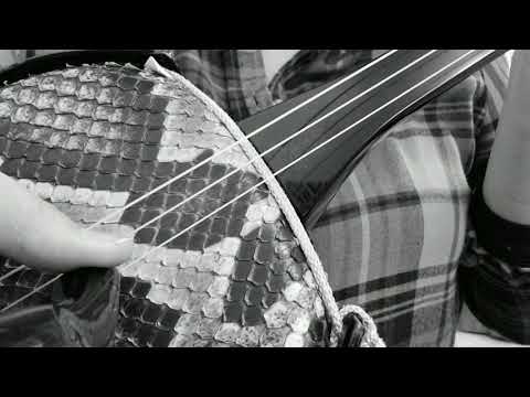 三線　チューニング音 CFC/ Okinawan sanshin Tuning Sound CFC