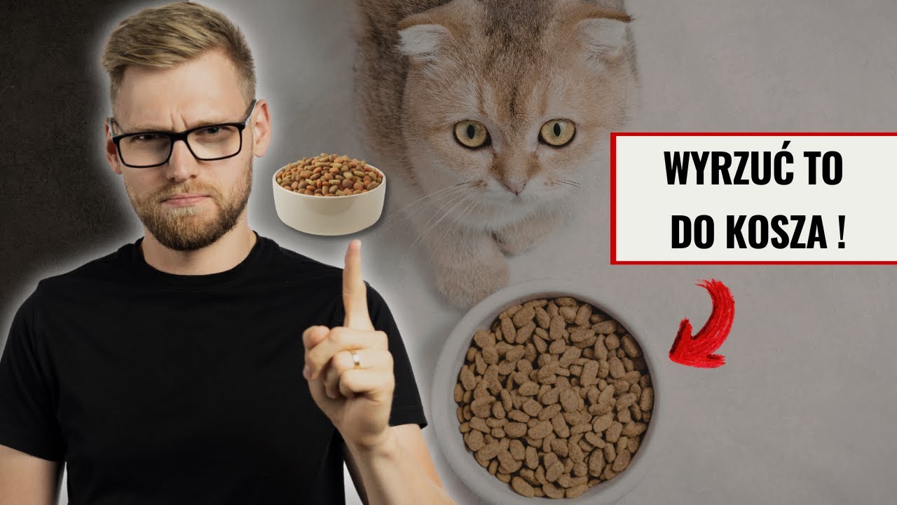 Sucha karma dla kota: Cichy zabójca czy wygodna dieta?