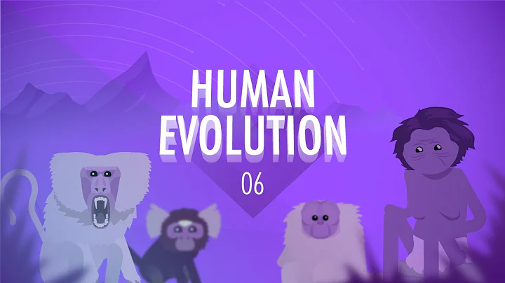 Human Evolution: Crash Course Big History #6 - DayDayNews