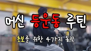 머신 등운동 루틴 헬스 초보를 위한 4가지 동작 운동방법